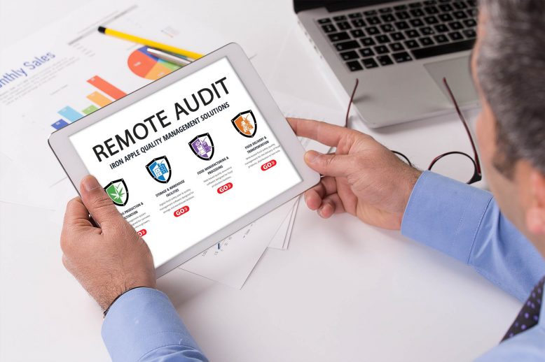 Iron Apple Remote Audit & QMS