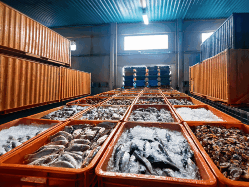 Food Export Guidance and Support