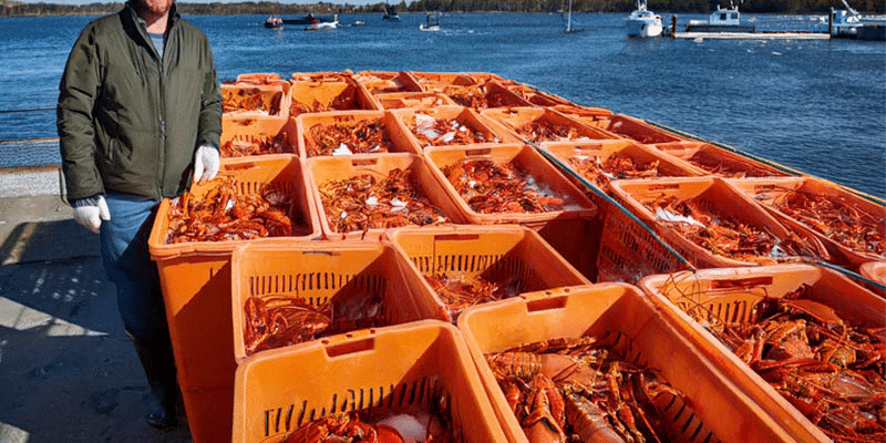 Food Exporting Canada